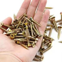 Professionele zwarte fosfaterende gipsplaatschroeven met fijne draad en trompetkop voor metalen stud-frames en plafondmontage