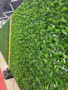 سياج شبكي اصطناعي من الأسلاك، سياج أخضر اصطناعي يشبه إبر الصنوبر لتزيين الجدران والساحات - Product Image 5