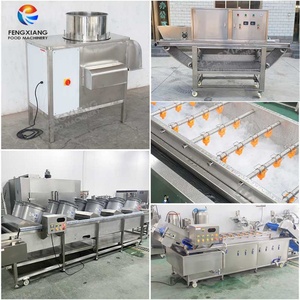 Ligne de production automatique d'ail : machine de séparation, d'épluchage, de lavage, de séchage à l'air et d'emballage de l'ail en Indonésie - Product Image 4