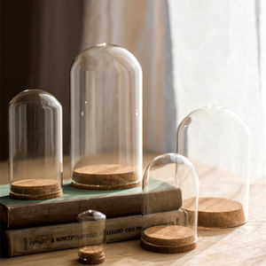 Купольная консервированная Цветочная Роза, оптовая продажа, мини прозрачная геодезическая Декор для дома, стеклянный цилиндр народного искусства - Product Image 1