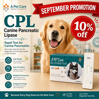 Kit de test rapide d'antigène de lipase pancréatique canine CPL, cassette de diagnostic pour chien, kit d'outil de dépistage pour clinique vétérinaire