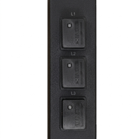 PDU intelligent industriel 80A triphasé 415V 240V C19 12 prises avec disjoncteur magnétique hydraulique, IPDU mesuré et commuté pour serveur HPC AI GPU