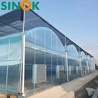 Serre agricole multi-chapelles Sinok, projet clé en main, film plastique transparent PE résistant aux UV, kit complet pour serre à tomates