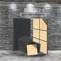 Panneaux d'isolation acoustique en feutre modernes, revêtements muraux absorbants le son pour le contrôle du bruit dans les bureaux, salles de réunion, hôtels, appartements