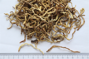 อาหารปลาแห้งแช่แข็งโปรตีนสูงจากธรรมชาติ 100% และอาหารเสริมหนอนดินแห้งพรีเมียมเพื่อสุขภาพผิวหนังและขน ลดราคาพิเศษ - Product Image 2