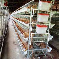 Cage semi-automatique de type H pour poules pondeuses, capacité 10000