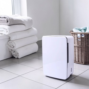 Déshumidificateur et purificateur d'air DDC ISO 9001 pour la maison, 4L, haute performance, anti-odeurs, garantie 1 an - Product Image 1