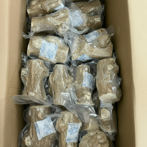 Palo de café de madera natural Juguete masticable para perros Seguro y ecológico por 99 Gold Data - Product Image 1