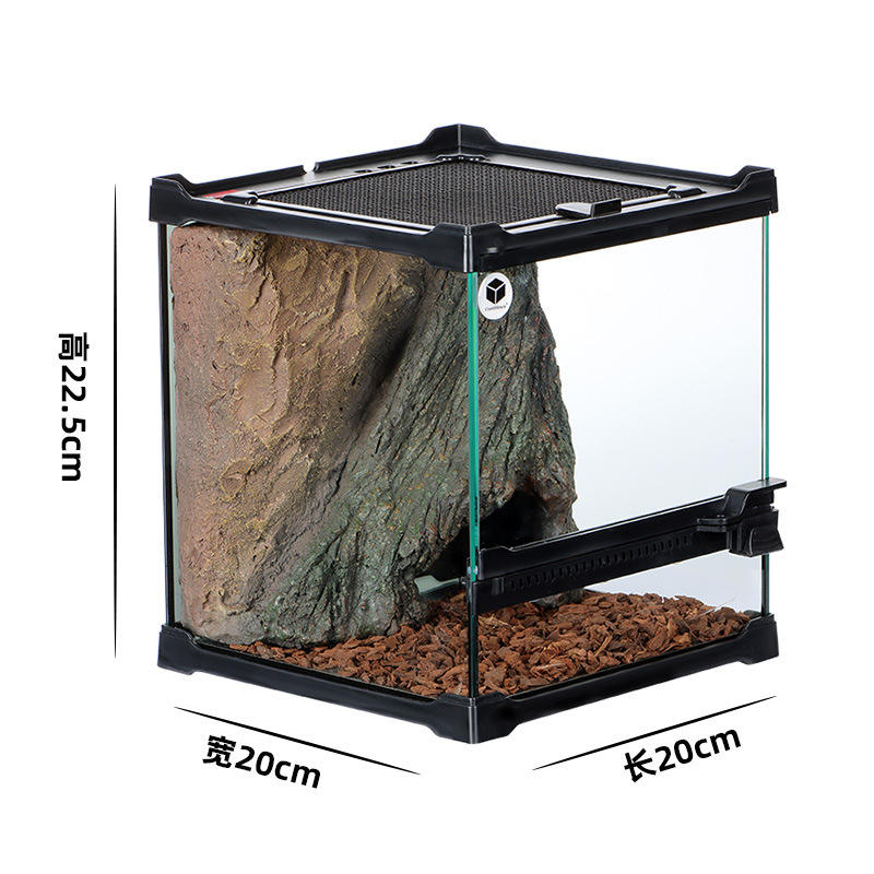 20*20*22.5 racines des arbres