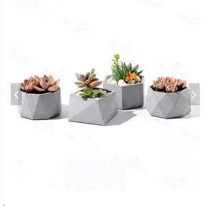 Mini etli bitkiler saksı ücretsiz kombinasyonu masa çimento saksı ev masaüstü etli dekorasyon süsler