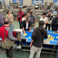 Industriële automatische productielijn voor diepvriesfrieten tegen fabrieks prijs, aardappelverwerkingsmachines te koop
