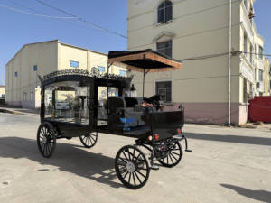 Fabricantes de Carrozas Fúnebres, Carroza Fúnebre Eléctrica, Carroza Fúnebre Clásica en Venta - Product Image 3