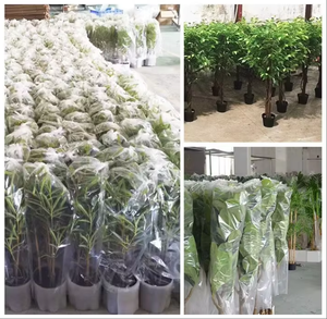 Árbol Artificial de Olivo de 240 cm con Base Resistente, Árbol de Hoja Perenne de Tacto Real, el Más Vendido, para Decoración de Interiores, Exteriores y Oficinas - Product Image 5