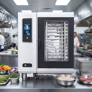 Programmable 10-Tray Oven Steamer With Boiler Oven Oven Oven - Product Image 1