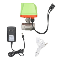 Alarme intelligente de fuite d'eau avec arrêt automatique, vanne à boisseau sphérique électrique en laiton, connexion NPT, étanche IP52, certifiée CE, bidirectionnelle