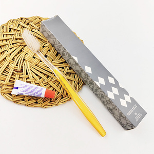 מלון חברת תעופה נסיעות מברשת שיניים ומשחת שיניים - Product Image 6