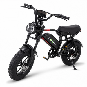 Elektro-Mountainbike mit Carbonstahlrahmen, Mittelmotor und Lithium-Akku, 500W Bürstenloser Motor, Carbonstahlrahmen - Product Image 1