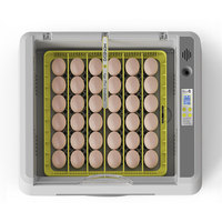 Incubateur multifonctionnel pour œufs de pigeon, thermostat domestique, capacité de 36 œufs, 220 volts, interrupteur de contrôle de la température, 112