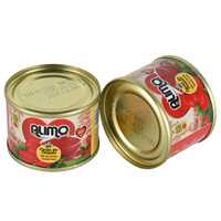 Pâte de tomate automatique faisant à la machine un traitement efficace pour des sauces de haute qualité
