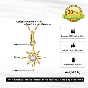 RINNTIN <span class=keywords><strong>APN</strong></span> brillante lujo moda chapado en oro plata esterlina 925 cristal circón geométrico colgante collar para mujer joyería - Product Image 5