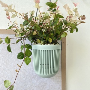 Olla <span class=keywords><strong>colgante</strong></span> de plástico de diseño único de 9cm con función de riego automático Olla <span class=keywords><strong>colgante</strong></span> para interiores - Product Image 2