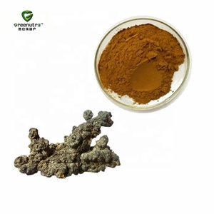 Extracto de <span class=keywords><strong>Polyporus</strong></span> Umbellatus en Polvo 10:1, Concentrado Natural de Hongo para Suplementos Dietéticos y Alimentos - Product Image 2