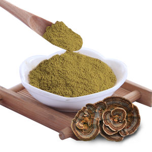 Ekstrak Bubuk Jamur <span class=keywords><strong>Turkey</strong></span> <span class=keywords><strong>Tail</strong></span> 10:1 Ekstrak Bubuk Tubuh Buah <span class=keywords><strong>Turkey</strong></span> <span class=keywords><strong>Tail</strong></span> Trametes Versicolor Ekstrak Coriolus Versicolor - Product Image 4