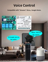 Module de commutation intelligent Tuya Wifi RF433 3 canaux DC7-32V 85-265V pour domotique Smartlife, module de commande pour porte de garage et rideaux motorisés