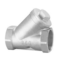 Bouchon de filtre pour tuyau d'évacuation en acier inoxydable 201 DN80 BSPT, embout à vis pour eau, filtre en Y