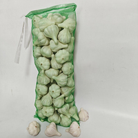 Sac en filet pour dattes, sac respirant pour la récolte et l'emballage des dattes