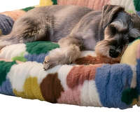 Coussin de luxe écologique rectangulaire pour animaux de compagnie, motif dessin animé, tapis doux, housse non amovible, lit chaud, nid pour petits chiens et chats