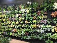 Décoration murale en plastique avec 9, 18 ou 24 têtes de feuilles de tortue verte simulées pour la maison, la salle d'exposition, les mariages et les accessoires de photographie