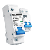 Disjoncteur solaire CHINT CB-125 125A DC230V en cuivre, 1P 2P, montage sur rail, capacité de coupure 10kA, pour onduleur photovoltaïque PV