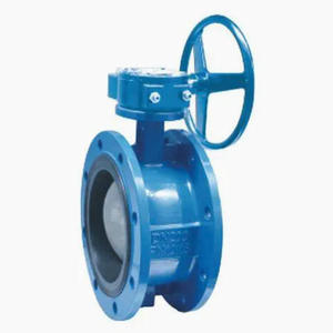Corps en fonte ductile avec bride en acier inoxydable - Product Image 1