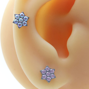 <span class=keywords><strong>Piercing</strong></span> de cartilage en titane ASTM F136 avec zircon cubique motif flocon de neige, filetage interne M0.9, dos plat, bijou de corps, collection style cadeau d'hiver - Product Image 4