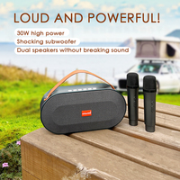 Sistema de Sonido para Exteriores de 10 Pulgadas, Equipo de DJ, Karaoke Portátil Inalámbrico con Bluetooth, Altavoz Pequeño RGB de 30W, Resistente al Agua IPX7, para Fiestas