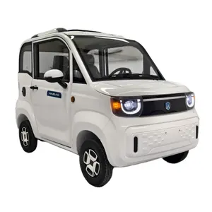 EU EEC COC hot sell new small cars 4 wheel electric mini car EEC COC electric utility 3000W lead-acid battery 60V58Ah 45km/h