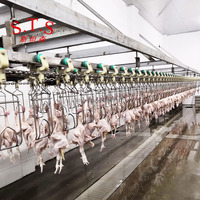 Poulet Canard Oie Caille Nouveau Matériel d'abattage à vendre