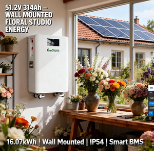 Batterie solaire 48V 51.2V 314Ah 16kWh pour systèmes de stockage d'énergie solaire, montage mural avec roues - Product Image 2