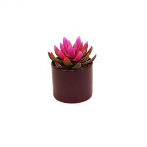 Natural Real Landscape Room decorazione per interni piccoli <span class=keywords><strong>Bonsai</strong></span> <span class=keywords><strong>Mini</strong></span> piante succulente artificiali - Product Image 3