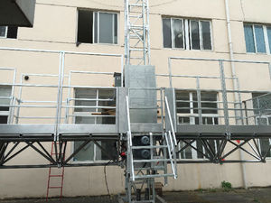 Sử Dụng Rộng Rãi Mast Leo Giàn Giáo Nền Tảng Công Việc MCWP Mast Climber - Product Image 5