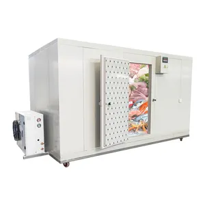 cold room storage 20ft 40ft container refrigeration 50 ton 100 ton blast freezer price for meat fish chicken and onion 1 buyer