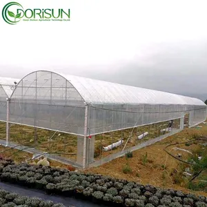 The Wet Curtain Fan Cooling System Single Span Greenhouse Agricultural Greenhouse Of Good Wind Resistant