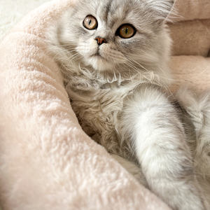 Nueva Llegada Oem Factory Travel Round Striped Warm Para Perros Gatos Pet Donut <span class=keywords><strong>Cave</strong></span> Bed - Product Image 3