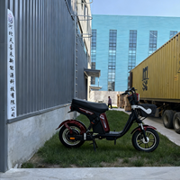 Vélo électrique urbain à grande vitesse pour les trajets quotidiens, scooter électrique élégant avec panier avant et siège large intégré