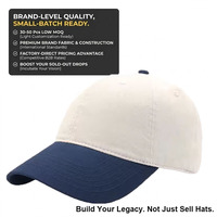 Casquette de baseball unisexe adulte de haute qualité pour fabricants, style Dad Cap, à 6 panneaux, en coton Oxford, avec visière colorée, vintage et sportive