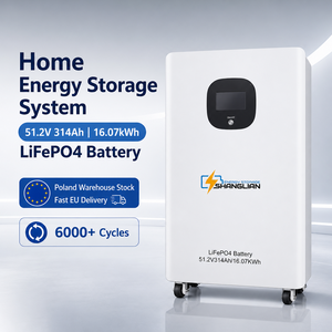 Batería LiFePO4 de 51.2V 314Ah 16kWh con Supresión de Incendios por Aerosol, WiFi, JBD BMS, 6000 Ciclos, Almacenamiento Solar Móvil, Stock en Almacén de Polonia - Product Image 3