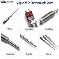 Custom Length C Type W-Re Thermocouple OEM