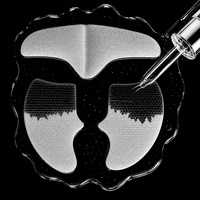 Patch quotidien hydratant anti-rides au collagène soluble en nanofibres et peptides marins pour le front et les joues