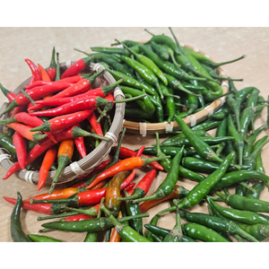 Productos agrícolas vietnamitas frescos, chiles de alta calidad, embalaje personalizado, especias saludables, hierbas, crudo, buen precio - Product Image 5